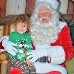 Meet your Posher, Shelley